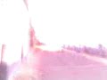 Encierro en Calzadilla