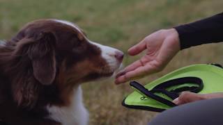 Snackfrisbee Eagle Grün