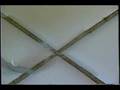 Ceramic Tile Repair Options