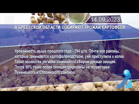 Новостная лента Телеканала Интекс 14.09.23.
