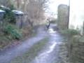 Rmz 250 wheelie for ebay