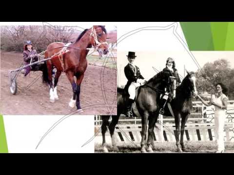 Конете - призвание и отдаденост