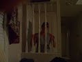 matt schwartzenegger