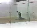 Faraaz n Vikas squash game with commentary from waqas n armo