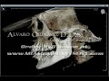 Comprehensive Implant Dentistry Live Training Courses at MiamiImplantsLive.com