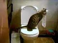 cat training toilet (large - 2) cat training toilet (large - 2)