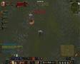 WoW PvP Paaskeharen 70 Hunter Locol 70 warrior