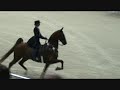 Washington International Horse Show Saddlebred Exhibition - Closing