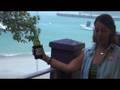 St John Ruth preparing for hurricane Omar on Palm Tree TV