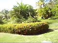 Santo Domingo Melia Caribe Tropical Part.1 Santo Domingo Melia Caribe Tropical Part.1