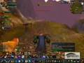 WoW bm hunter pvp rank 14