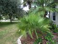 5123 Winding Way, Brevard Real Estate for sale