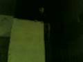 videos de ti kanei miaou miaou sta keramidia??