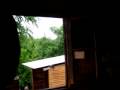 videos de Año Nueno en Nono - 1