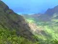 Hawaii Vacation
