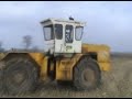 Claas MEGA 204 Corn harvest