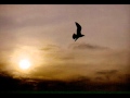 Youkali: Tango Habanera- My Brightest Diamond
