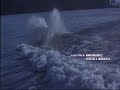 free-willy-ending.html