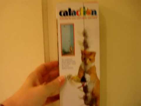0 Cataction Bungaree