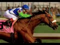 ~Barbaro What Hurts The Most~
