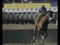 ~Barbaro What Hurts The Most~