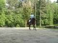 Hunter/Eq horse for sale: DOUBLE DOWN