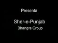 Baile de Sher e Punjab bhangra group en el festival de danza tradicional en Poble Sec, Barcelona, Spain
