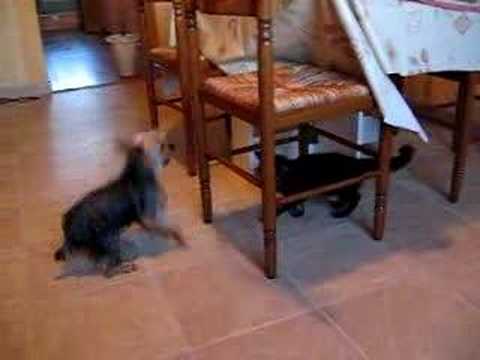 See video