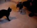 See Video