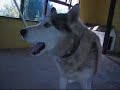 LOBITO LOBITO