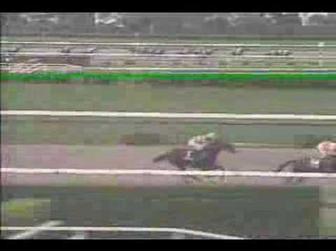 broadappeal@Procyon stakes