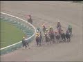broadappeal@Procyon stakes broadappeal@Procyon stakes