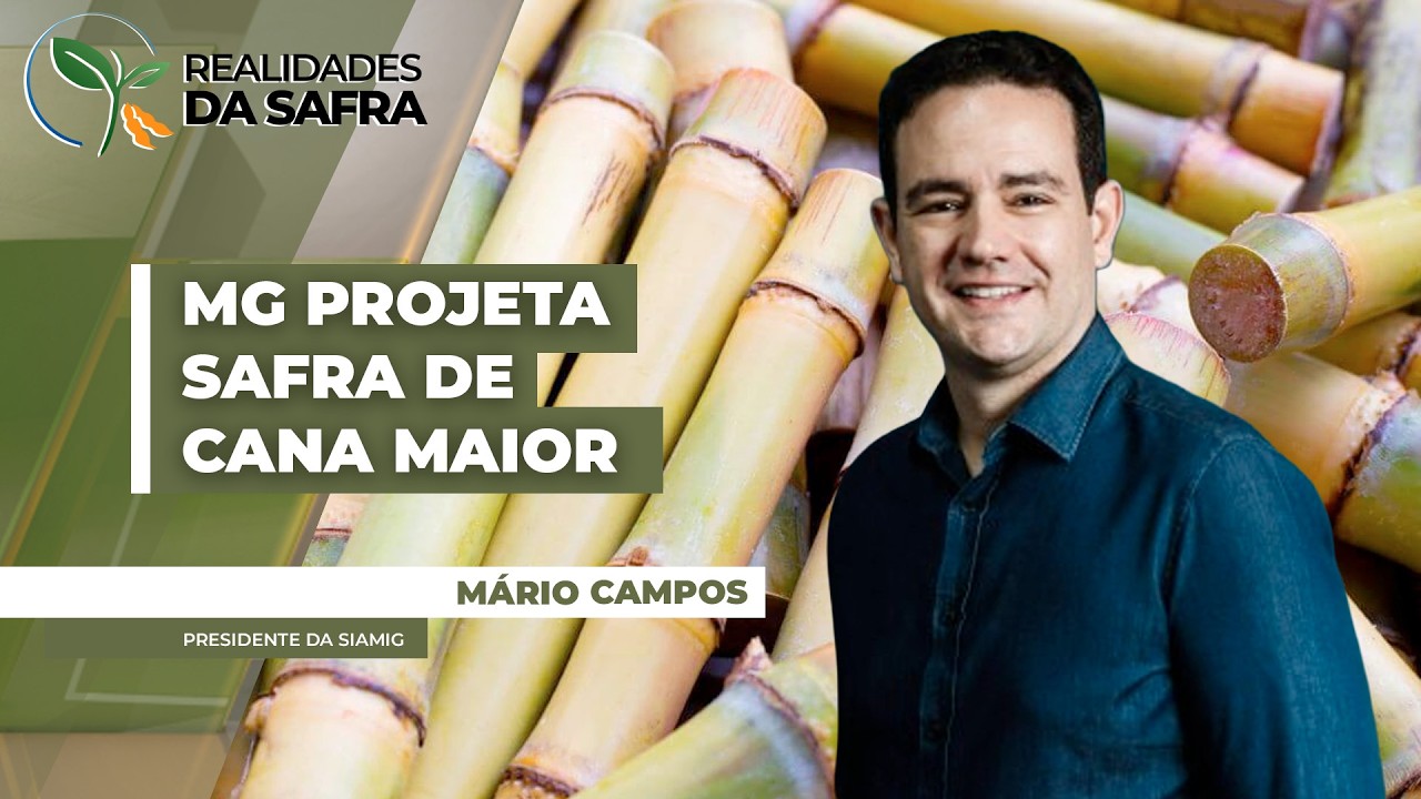 Minas Gerais começa safra 2026/27 esperando produção de cana-de-açúcar 11,6% maior