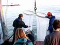 MSc Oceanography Boat Week at Southampton Uni