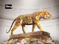 Thumbnail #3