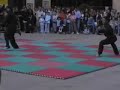 Viet Vo Dao techniques (Daniele Nguyen)