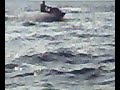 SeeDoo SeeDoo