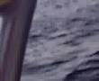 videos de SeeDoo