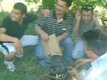 www.igdirli.com