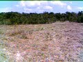 field of end time provisions part 1 field of end time provisions part 1