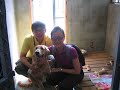 Dino the Golden Retriever - First Time Away from Home