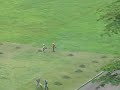 Weed Wackering Duo Mowing Lawn on Football Field 1