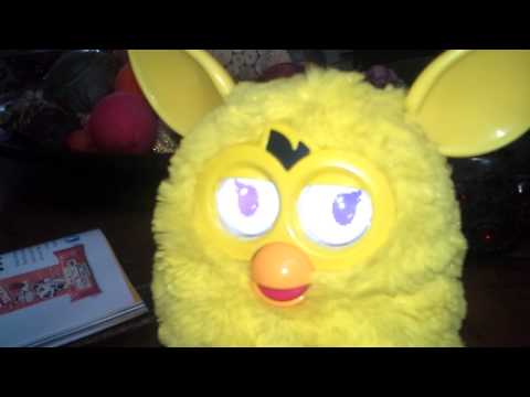 how to take care of a furby