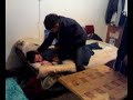 kurtlar-vadisi-lgaz.html
