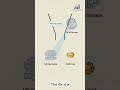 HOW TO OPTIMIZE OFFLINE CONVERSIONS WITH GOOGLE ADS | GOOLE 2026