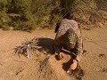 Fire with Blastmatch
