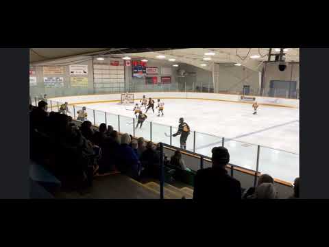 Yellowhead - November 2024