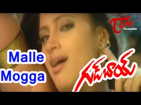 Good Boy Movie, Good Boy Songs, Good Boy Telugu Movie, Good Boy Telugu HD Movie, Good Boy Telugu Songs, Good Boy Telugu Movie HD Songs, Good Boy HD Movie, Teluguone, Teluguone Movies, Teluguone Videos, Hero Rohit, Actor Rohit, Navneet Kaur, Heroine Navneet Kaur, Sexy Navneet Kaur, Romantic Navneet Kaur, Brahmanandam, LB Sriram, Chalapathi Rao, Venu Madhav, Dharmavarapu Subramanyam