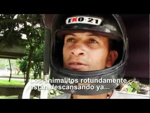 sangre justicia