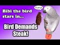 Bird Demands Steak